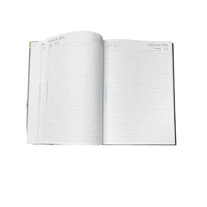 Picture of TLC Diary A4 DTP Silver 2026