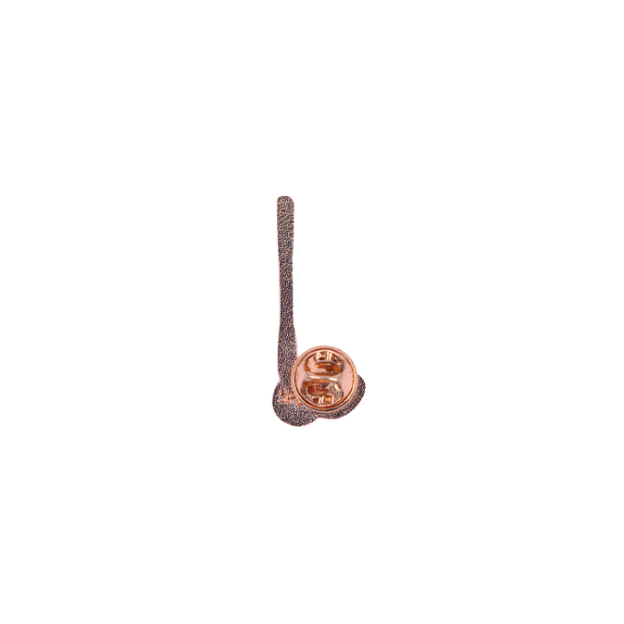 Picture of Champions Of Life Right On Par Keepsake Pin